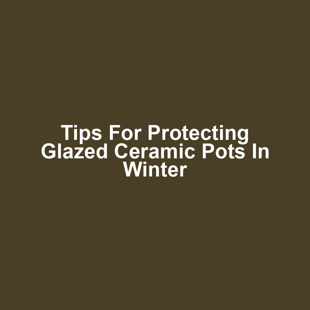 Tips for Protecting Glazed Ceramic Pots in Winter