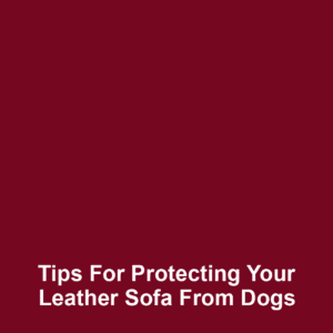 Tips for protecting your leather sofa from dogs