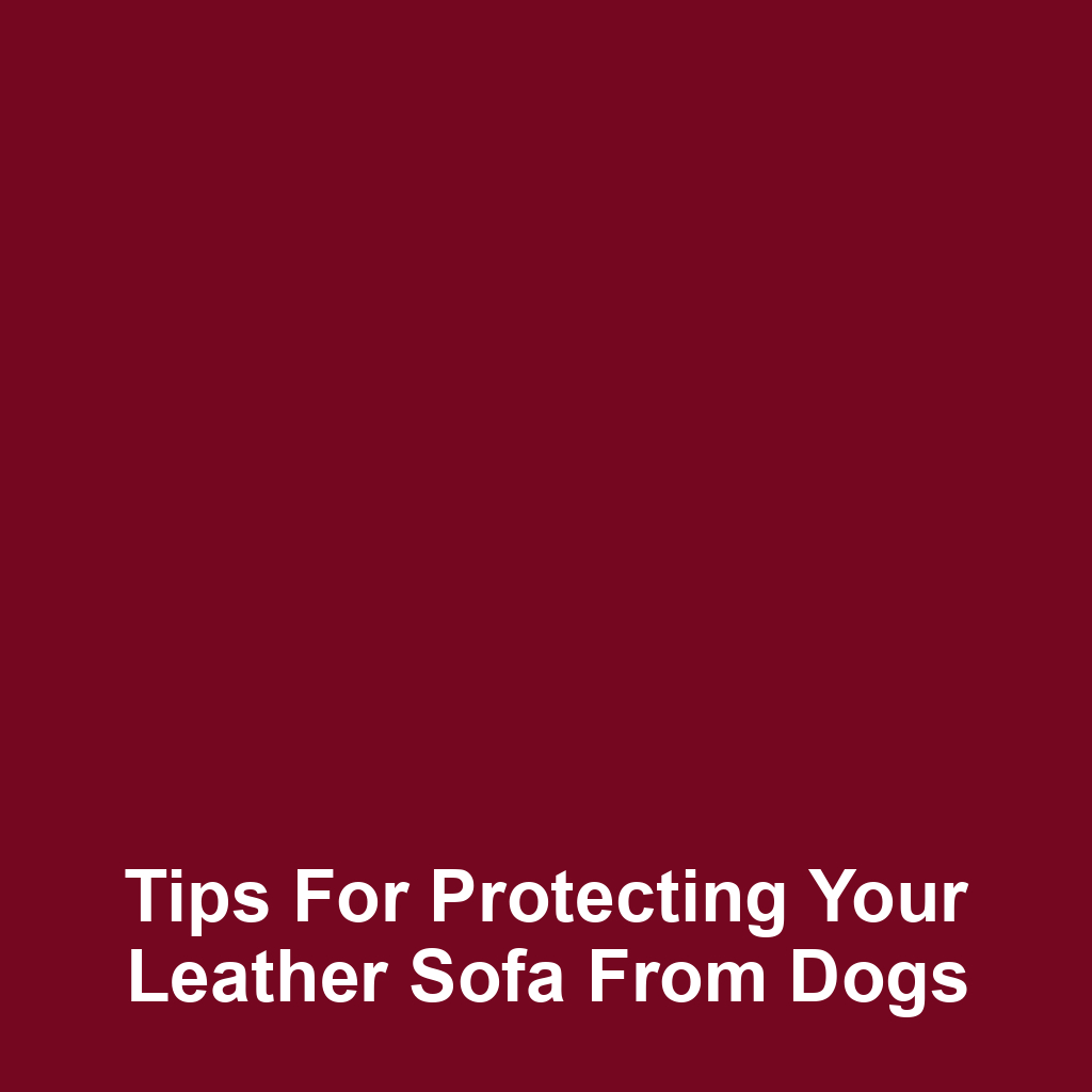 Tips for protecting your leather sofa from dogs