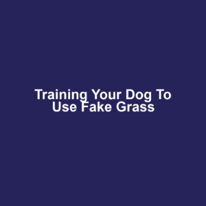 Training Your Dog to Use Fake Grass