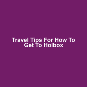 Travel Tips for How to Get to Holbox