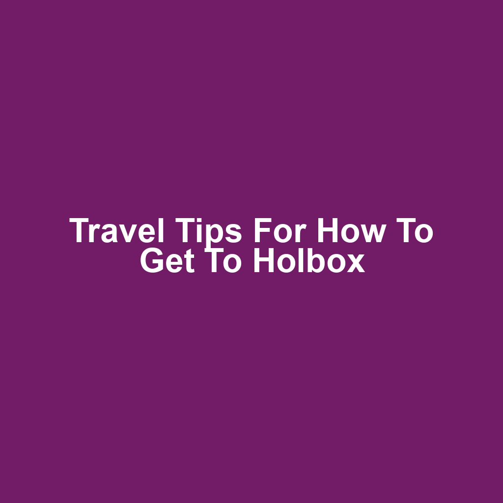 Travel Tips for How to Get to Holbox