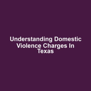 Understanding Domestic Violence Charges in Texas