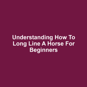 Understanding How to Long Line a Horse for Beginners