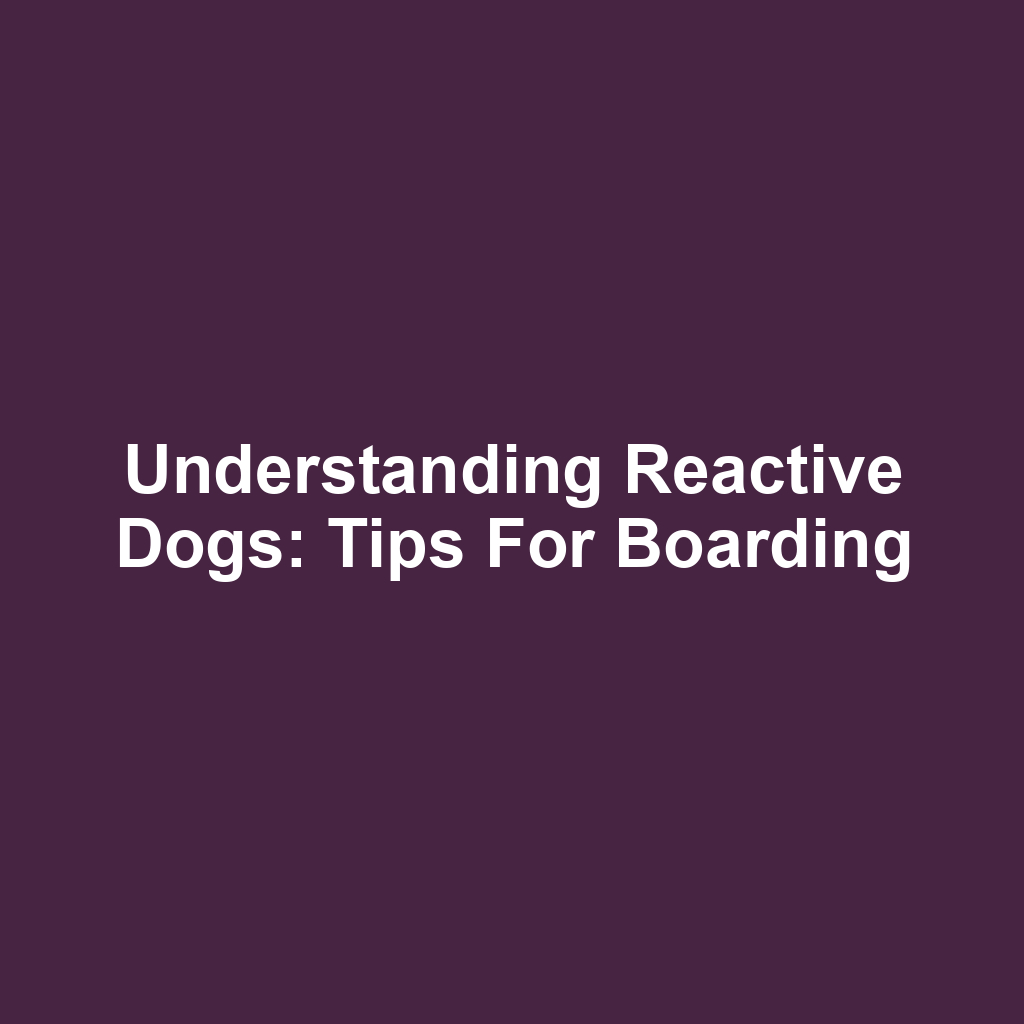 Understanding Reactive Dogs: Tips for Boarding
