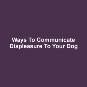 Ways to Communicate Displeasure to Your Dog