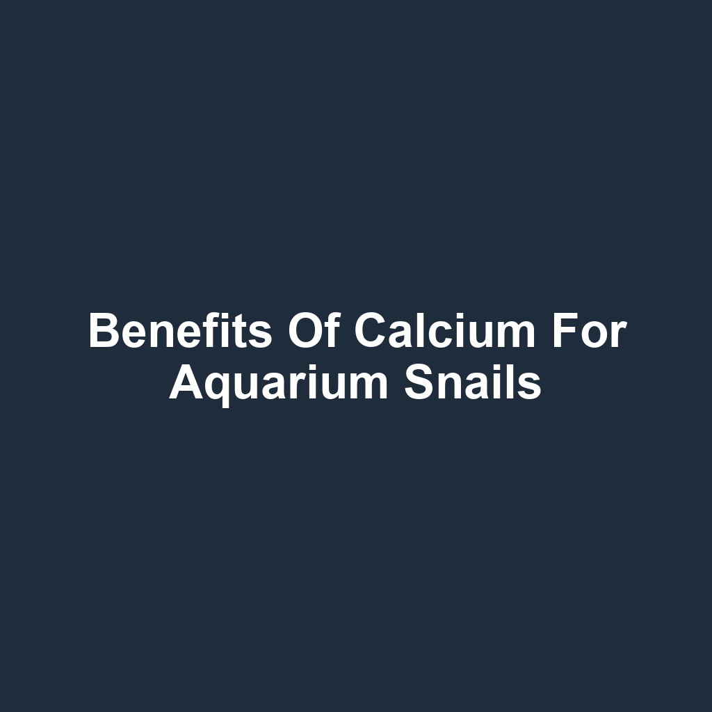 Benefits of Calcium for Aquarium Snails