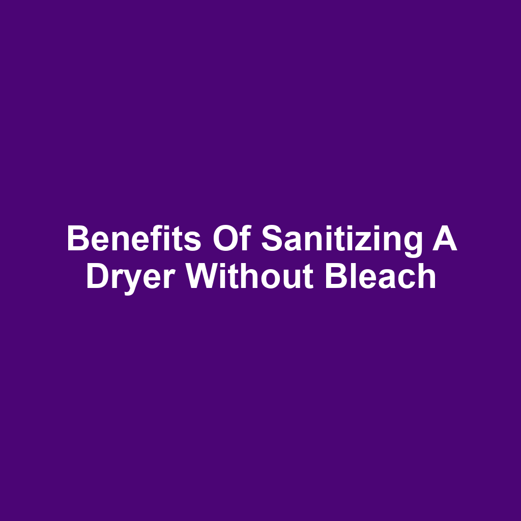 Benefits of Sanitizing a Dryer Without Bleach