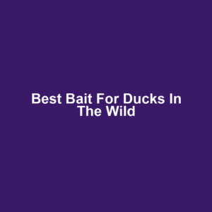 Best Bait for Ducks in the Wild
