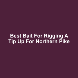 Best Bait for Rigging a Tip Up for Northern Pike