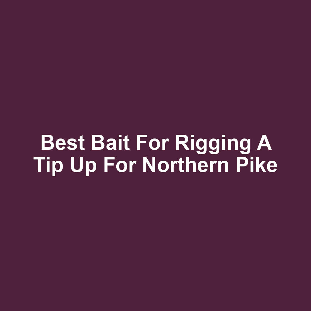 Best Bait for Rigging a Tip Up for Northern Pike