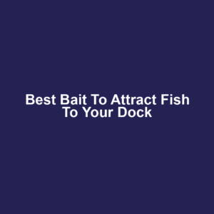 Best Bait to Attract Fish to Your Dock