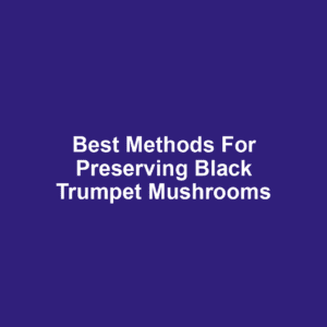 Best Methods for Preserving Black Trumpet Mushrooms