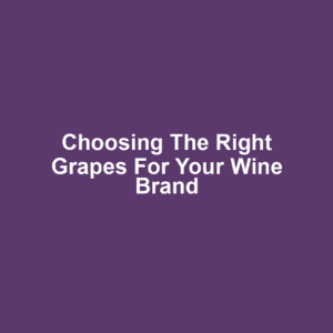 Choosing the Right Grapes for Your Wine Brand