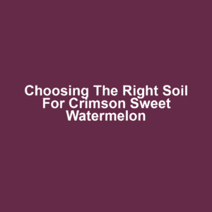Choosing the Right Soil for Crimson Sweet Watermelon