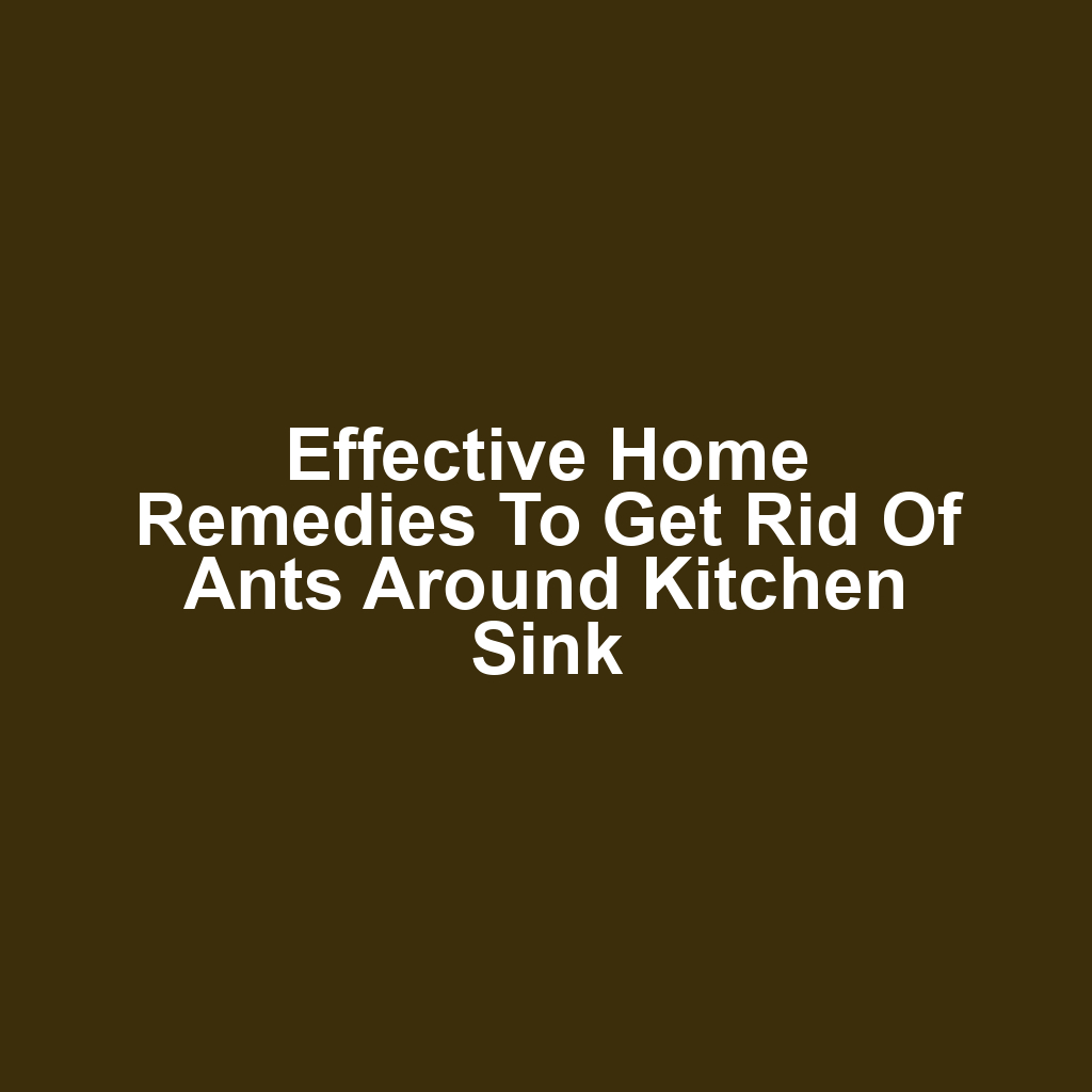 Effective Home Remedies to Get Rid of Ants Around Kitchen Sink