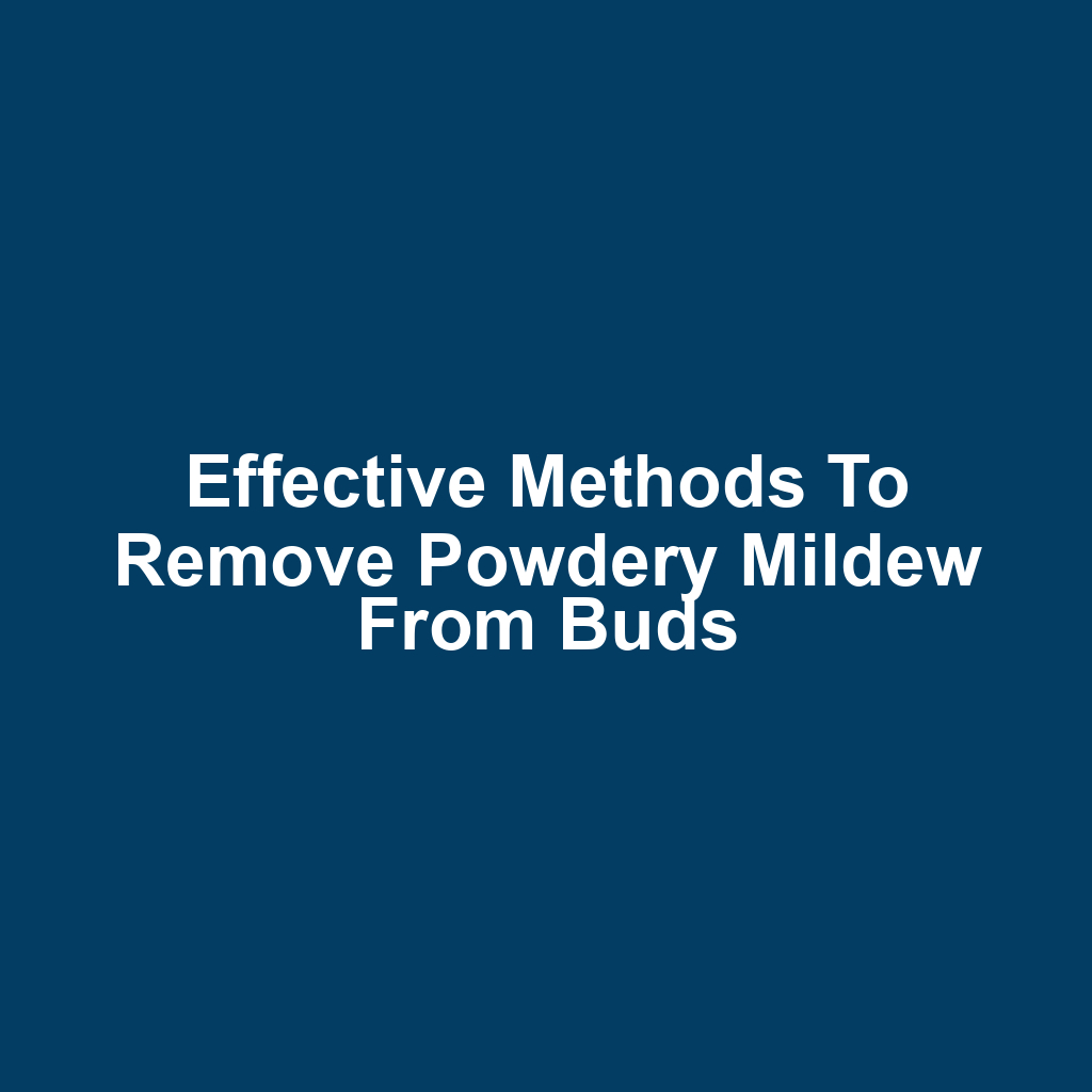 Effective methods to remove powdery mildew from buds
