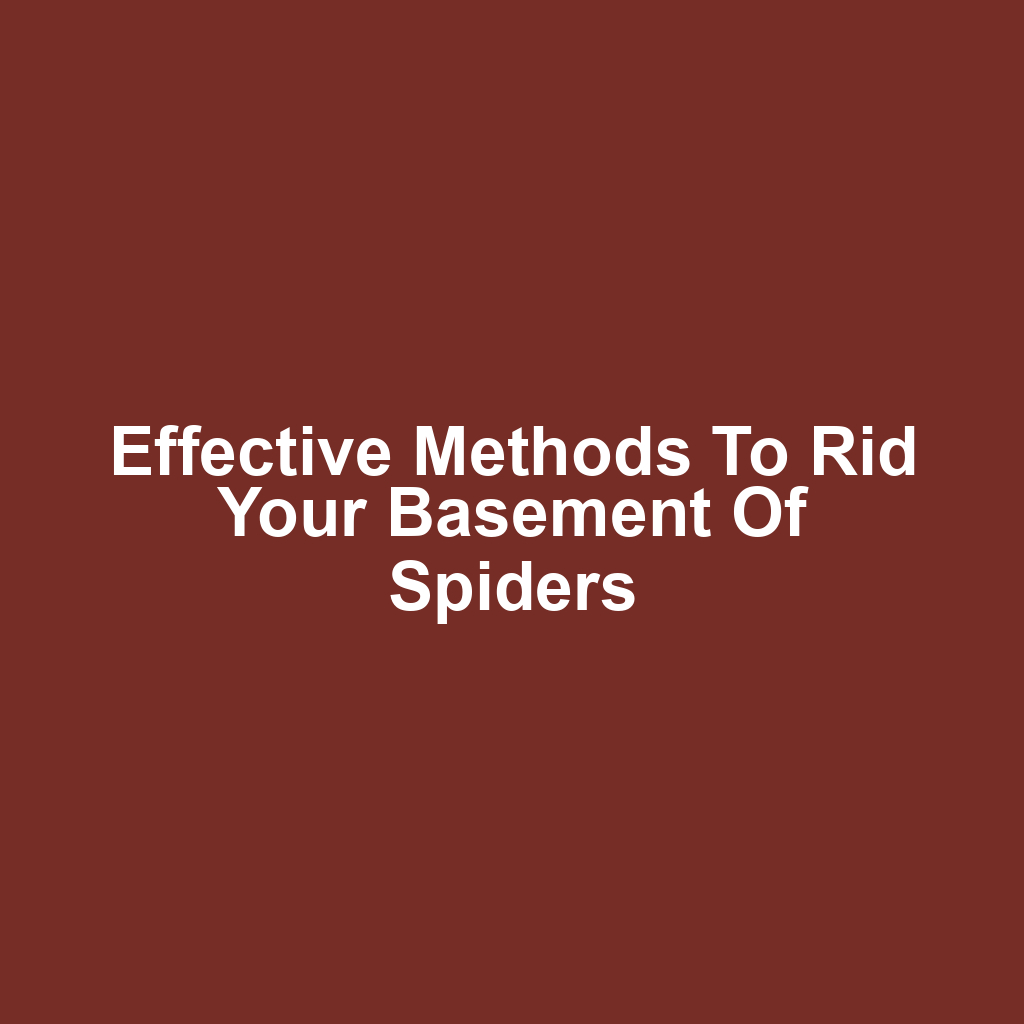 Effective Methods to Rid Your Basement of Spiders