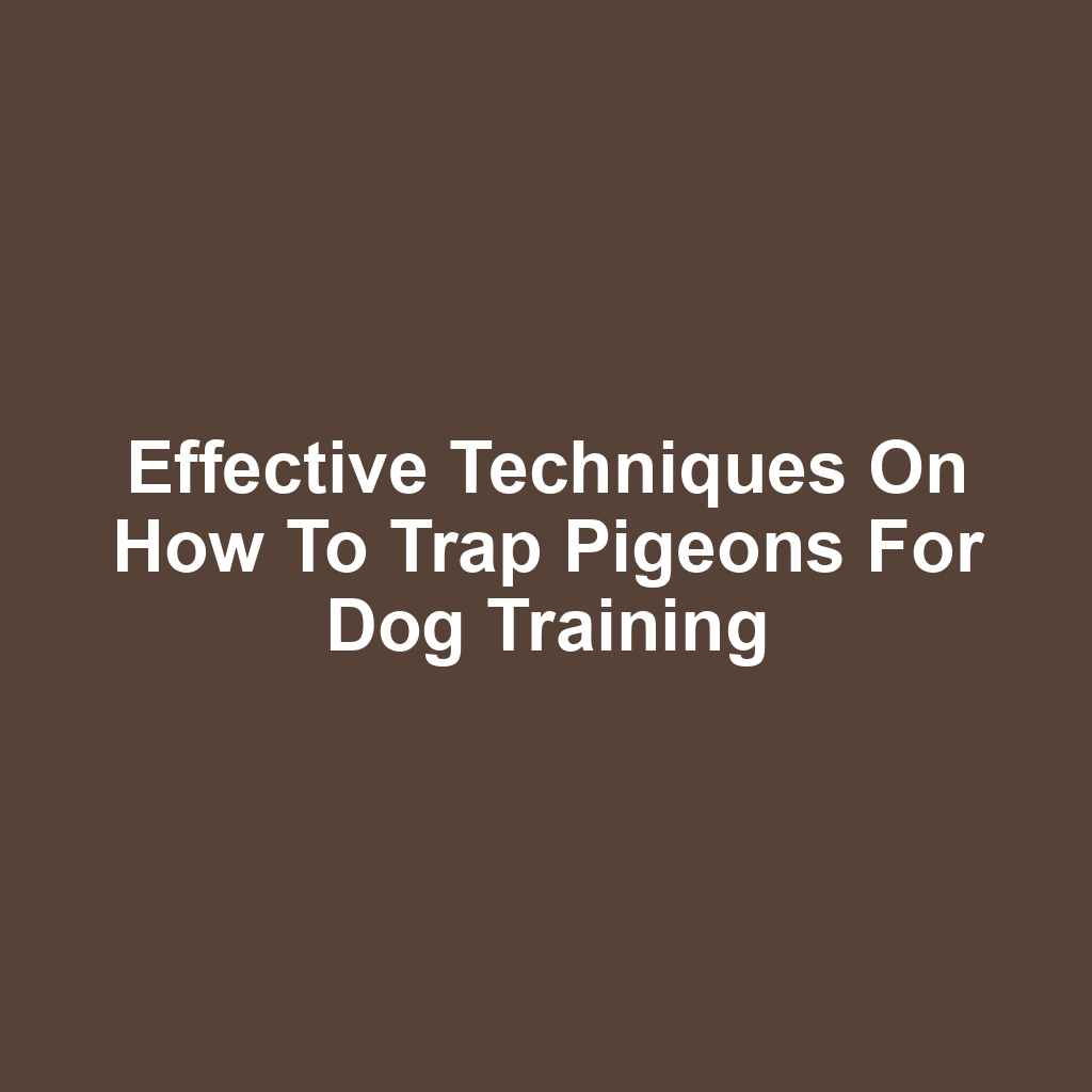 Effective Techniques on How to Trap Pigeons for Dog Training