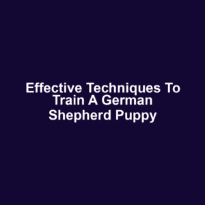 Effective Techniques to Train a German Shepherd Puppy