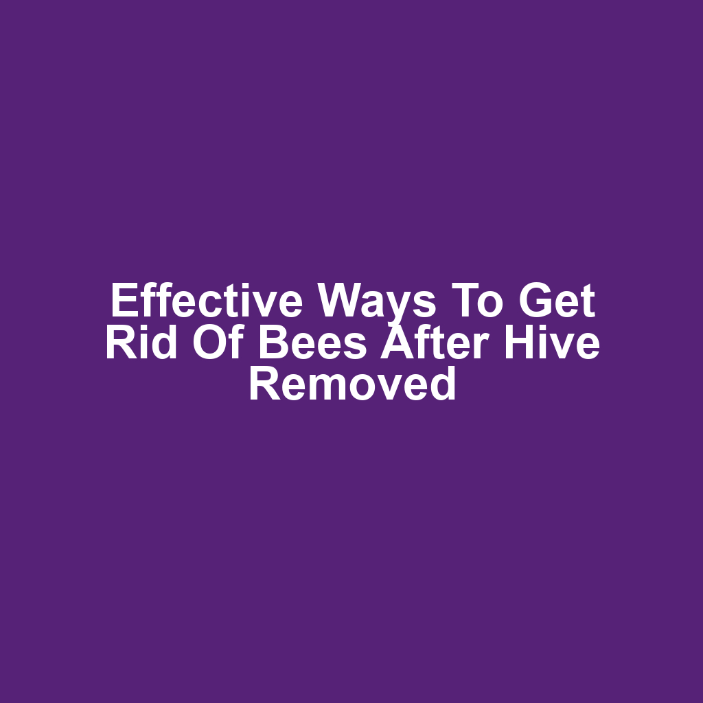 Effective Ways to Get Rid of Bees After Hive Removed