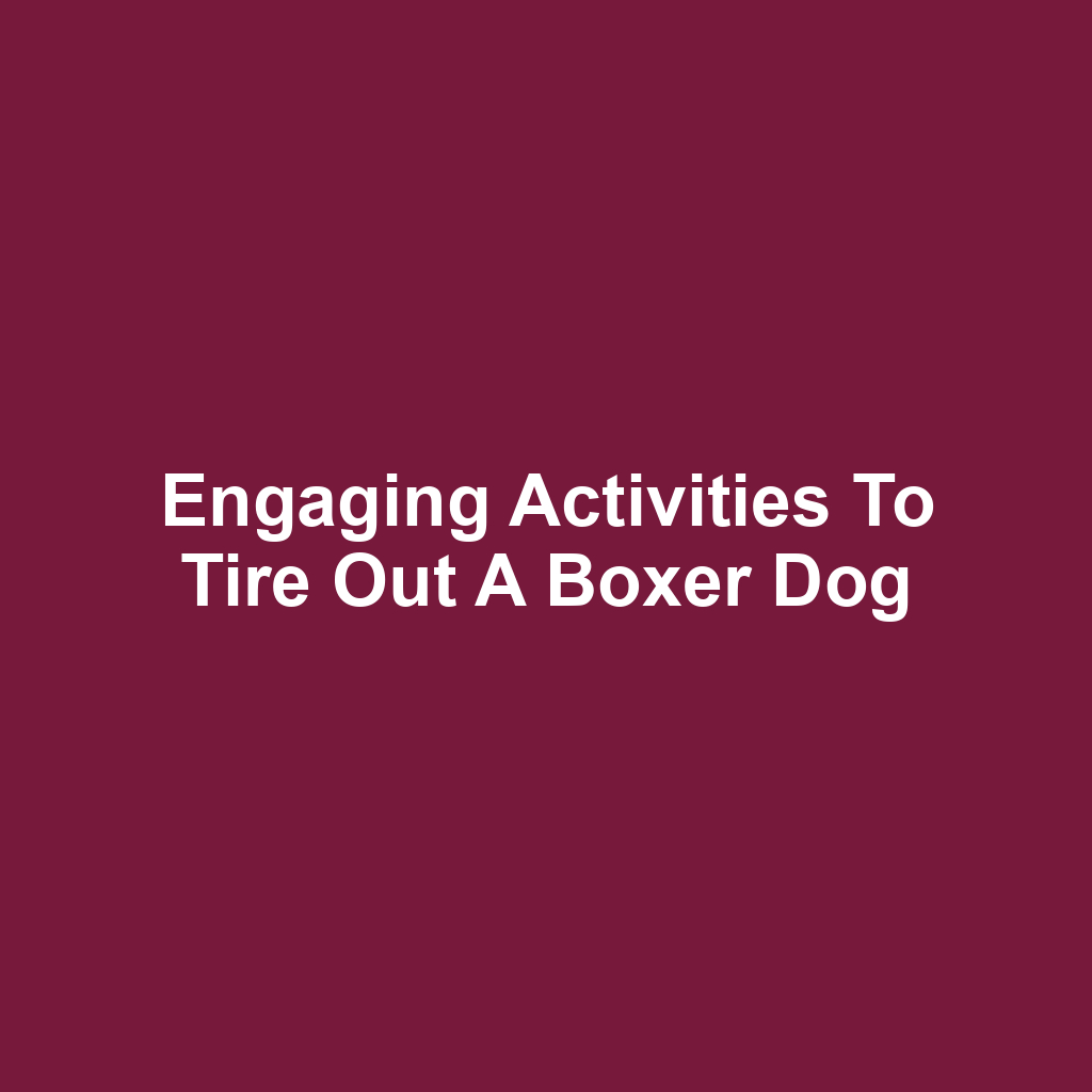 Engaging Activities to Tire Out a Boxer Dog