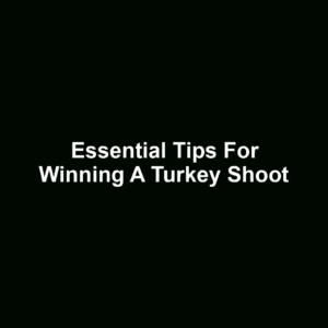 Essential Tips for Winning a Turkey Shoot