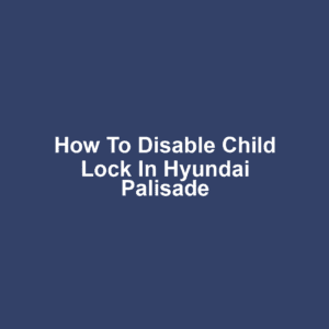 How to Disable Child Lock in Hyundai Palisade