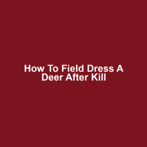 How to Field Dress a Deer After Kill