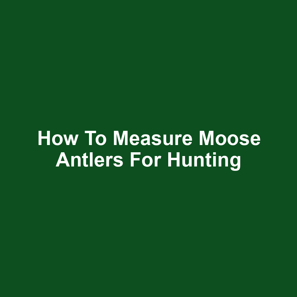 How to Measure Moose Antlers for Hunting