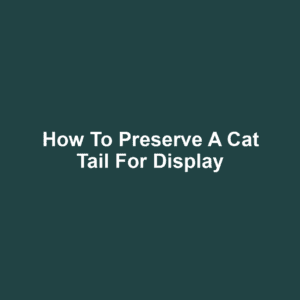 How to Preserve a Cat Tail for Display