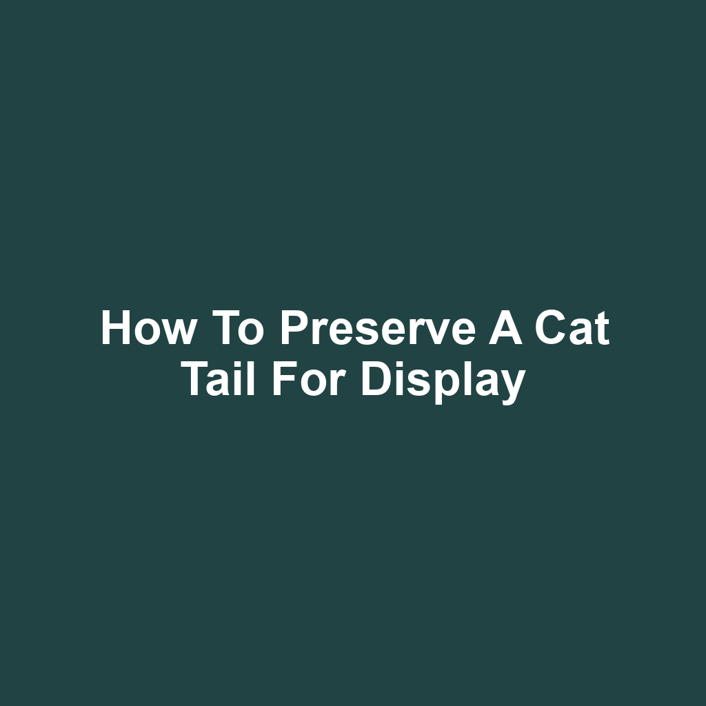 How to Preserve a Cat Tail for Display