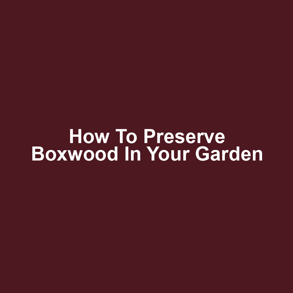 How to Preserve Boxwood in Your Garden
