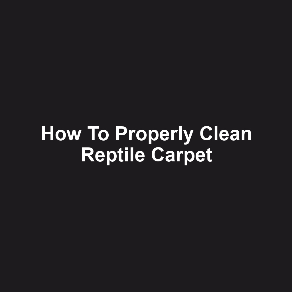 How to Properly Clean Reptile Carpet