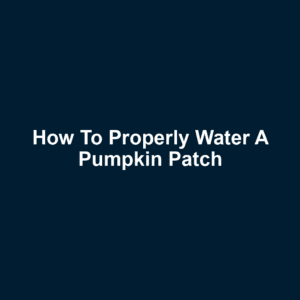 How to Properly Water a Pumpkin Patch