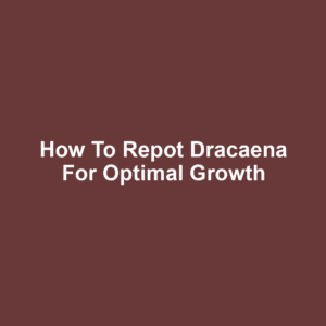 How to Repot Dracaena for Optimal Growth