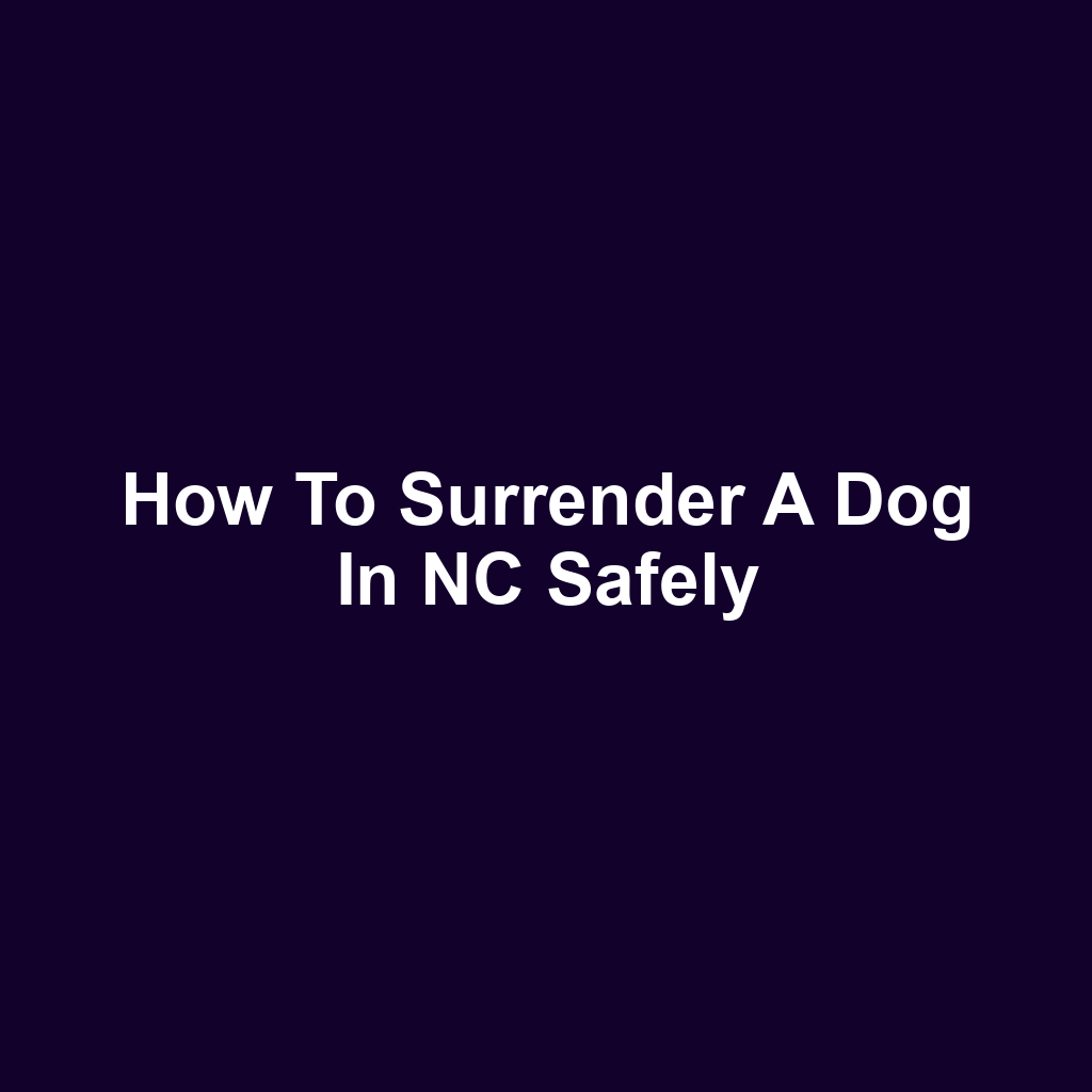 How to Surrender a Dog in NC Safely