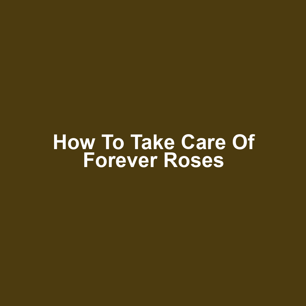 How to Take Care of Forever Roses