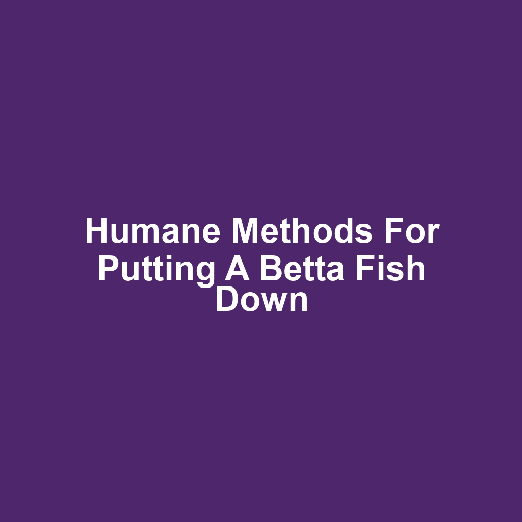 Humane Methods for Putting a Betta Fish Down