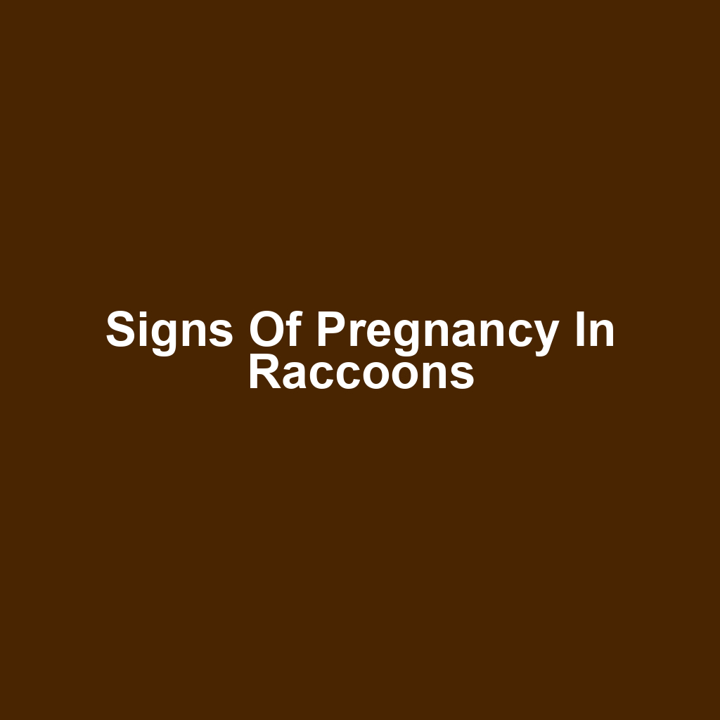 Signs of Pregnancy in Raccoons