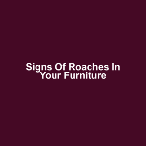 Signs of Roaches in Your Furniture