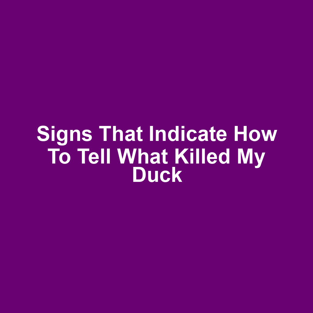 Signs That Indicate How to Tell What Killed My Duck