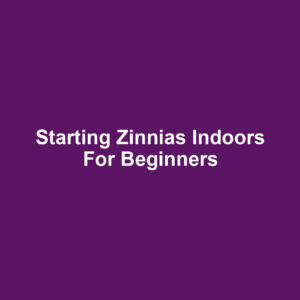 Starting Zinnias Indoors for Beginners