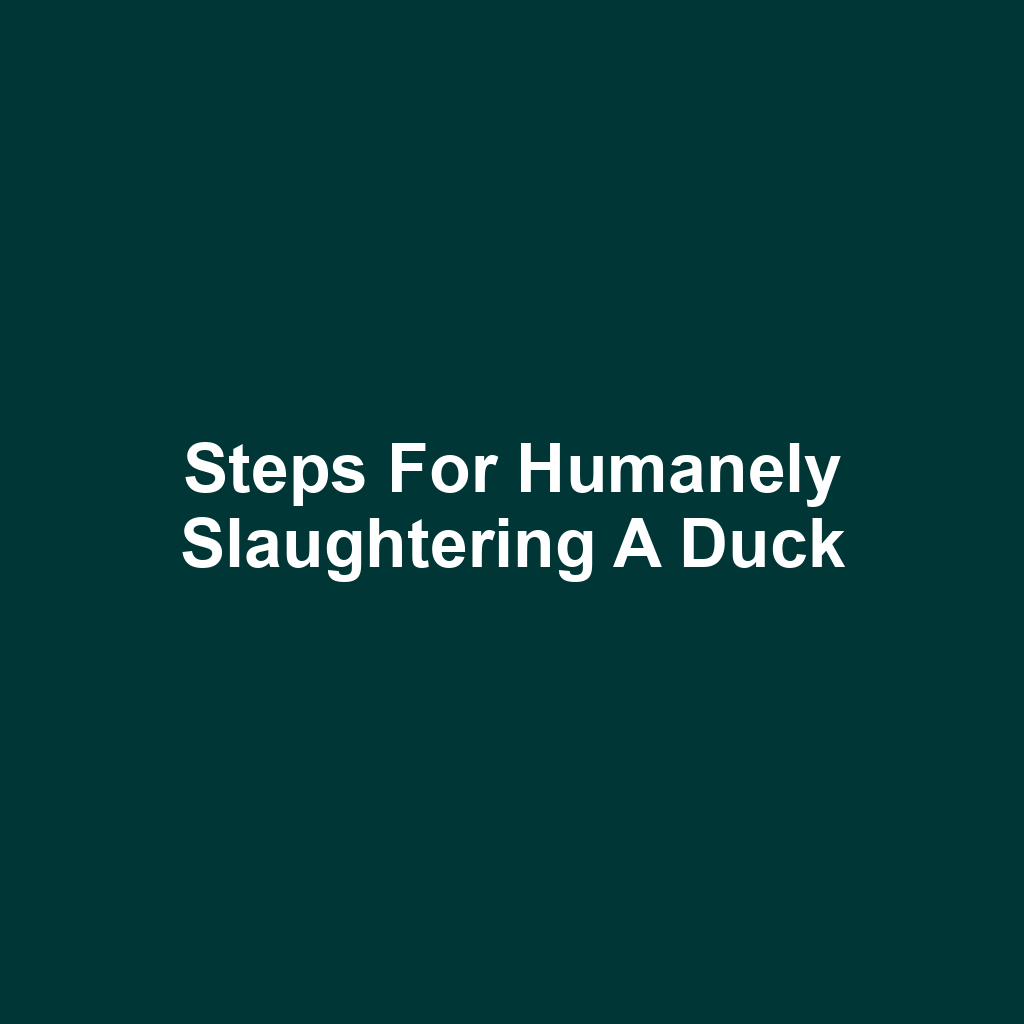 Steps for Humanely Slaughtering a Duck