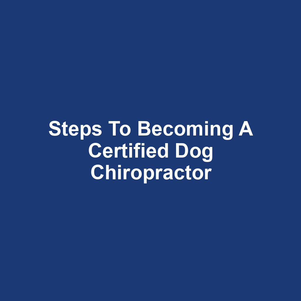 Steps to Becoming a Certified Dog Chiropractor