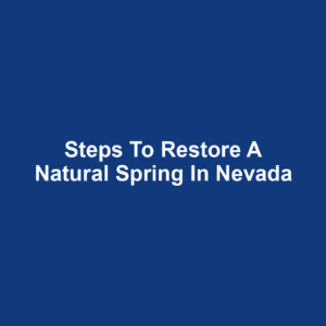 Steps to Restore a Natural Spring in Nevada