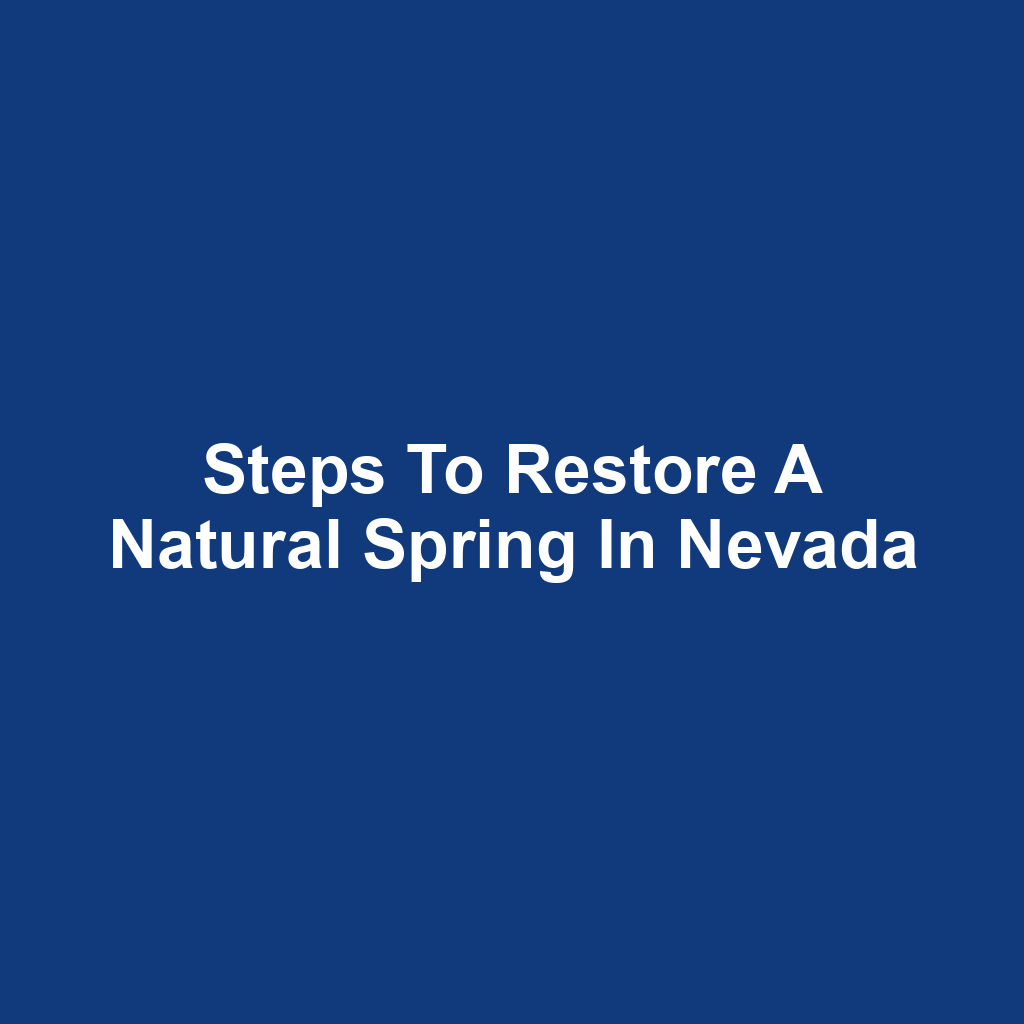 Steps to Restore a Natural Spring in Nevada