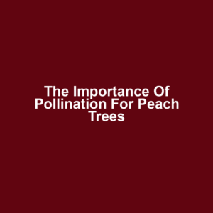 The Importance of Pollination for Peach Trees