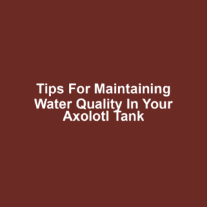 Tips for Maintaining Water Quality in Your Axolotl Tank