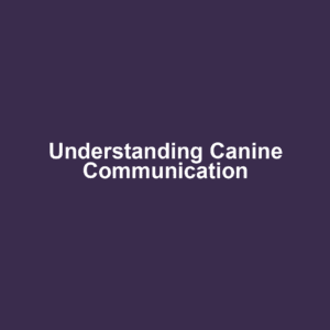 Understanding Canine Communication